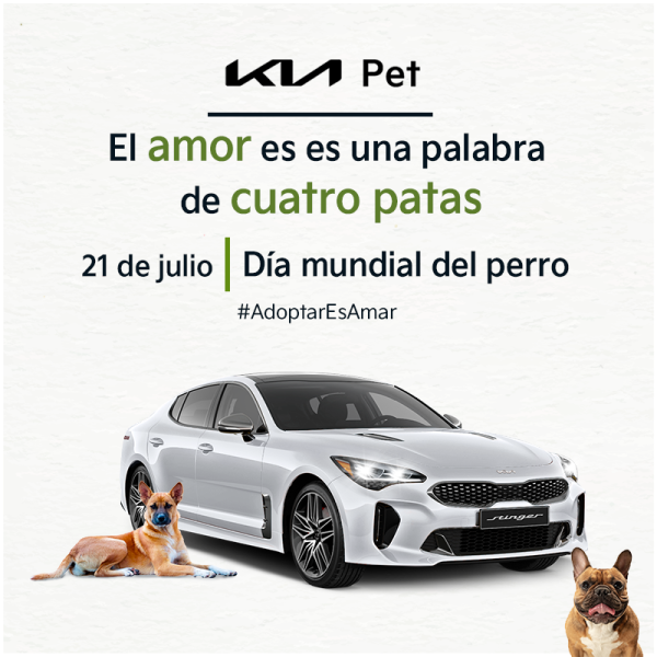Kia Pet, así influyen las mascotas en nuestro bienestar emocional