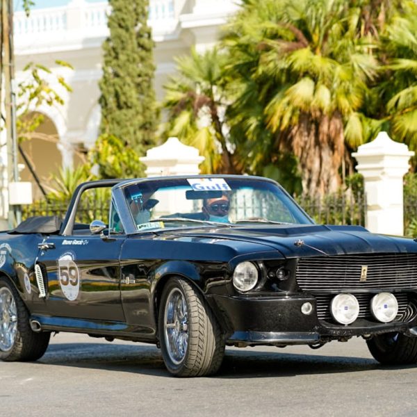 Ya está listo el Rally Maya